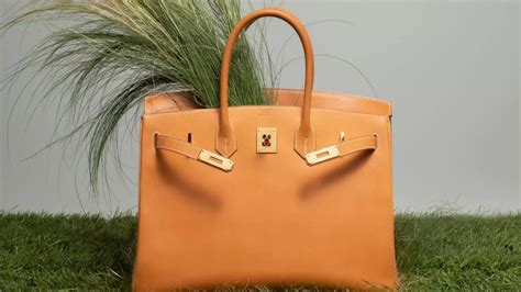 hermes birkin 25 price 2023|hermes birkin cost.